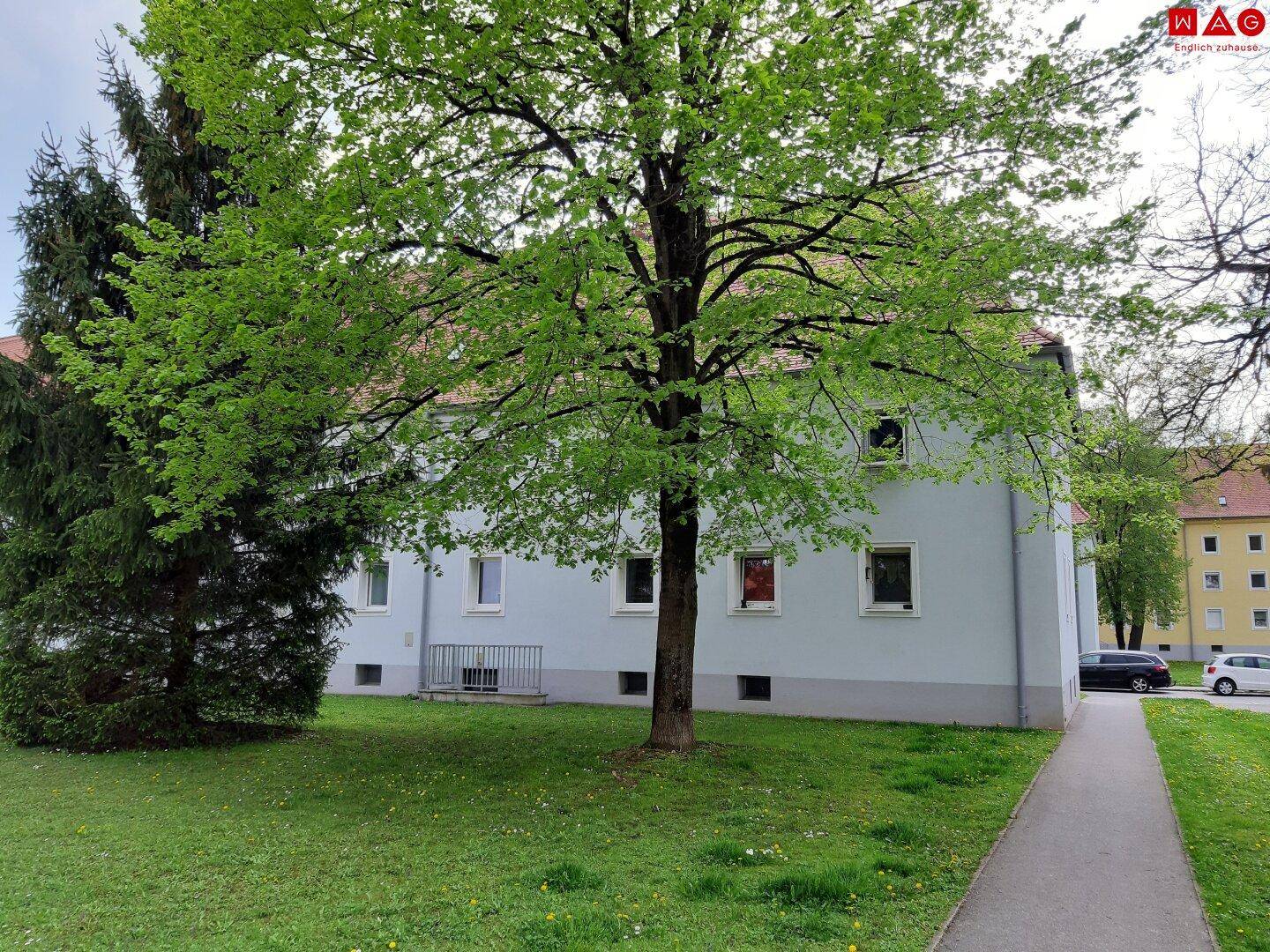 Außenanlage Bild 3