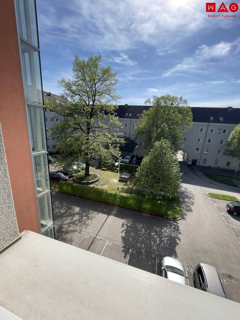 Ausblick