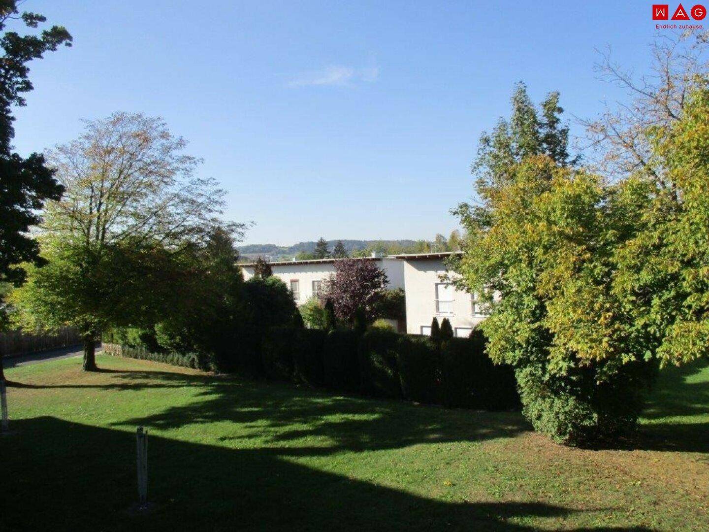 aus dem Fenster blickend, hofseitg