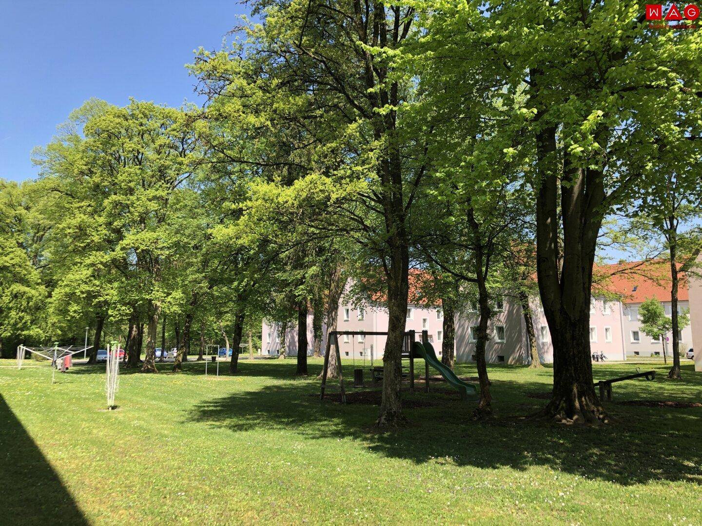 Große Grünfläche mit Spielplatz, hohen Bäumen und weiteren Wohngebäuden im Hintergrund.