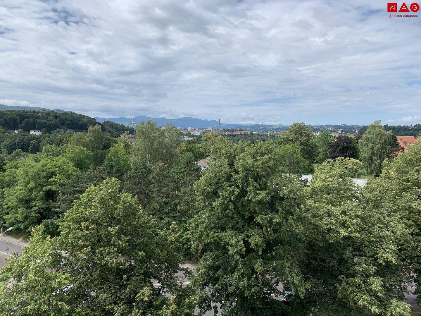 Ausblick