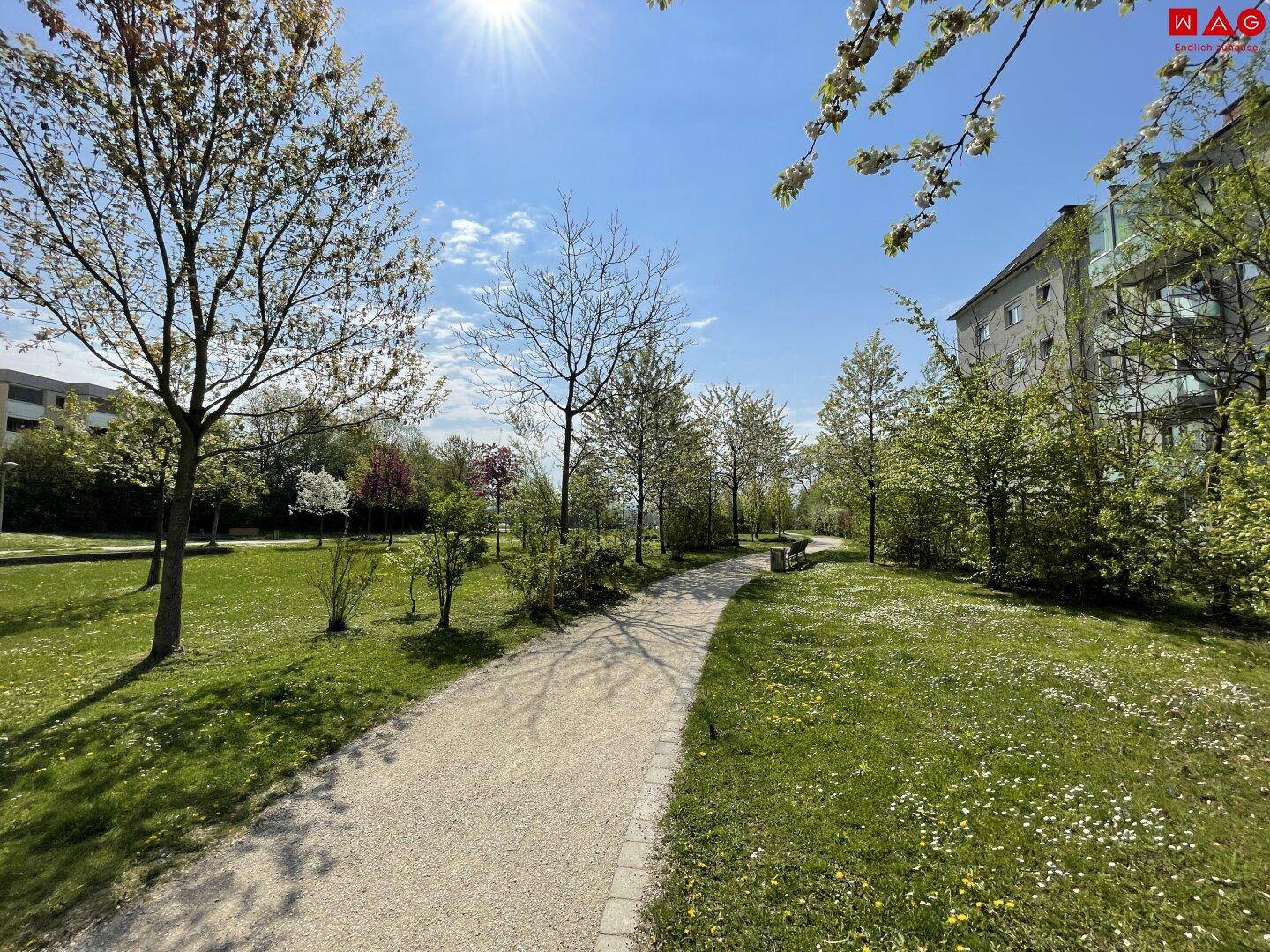 Sonniger Parkweg mit grünen Wiesen, Bäumen und einem modernen Wohngebäude im Hintergrund.
