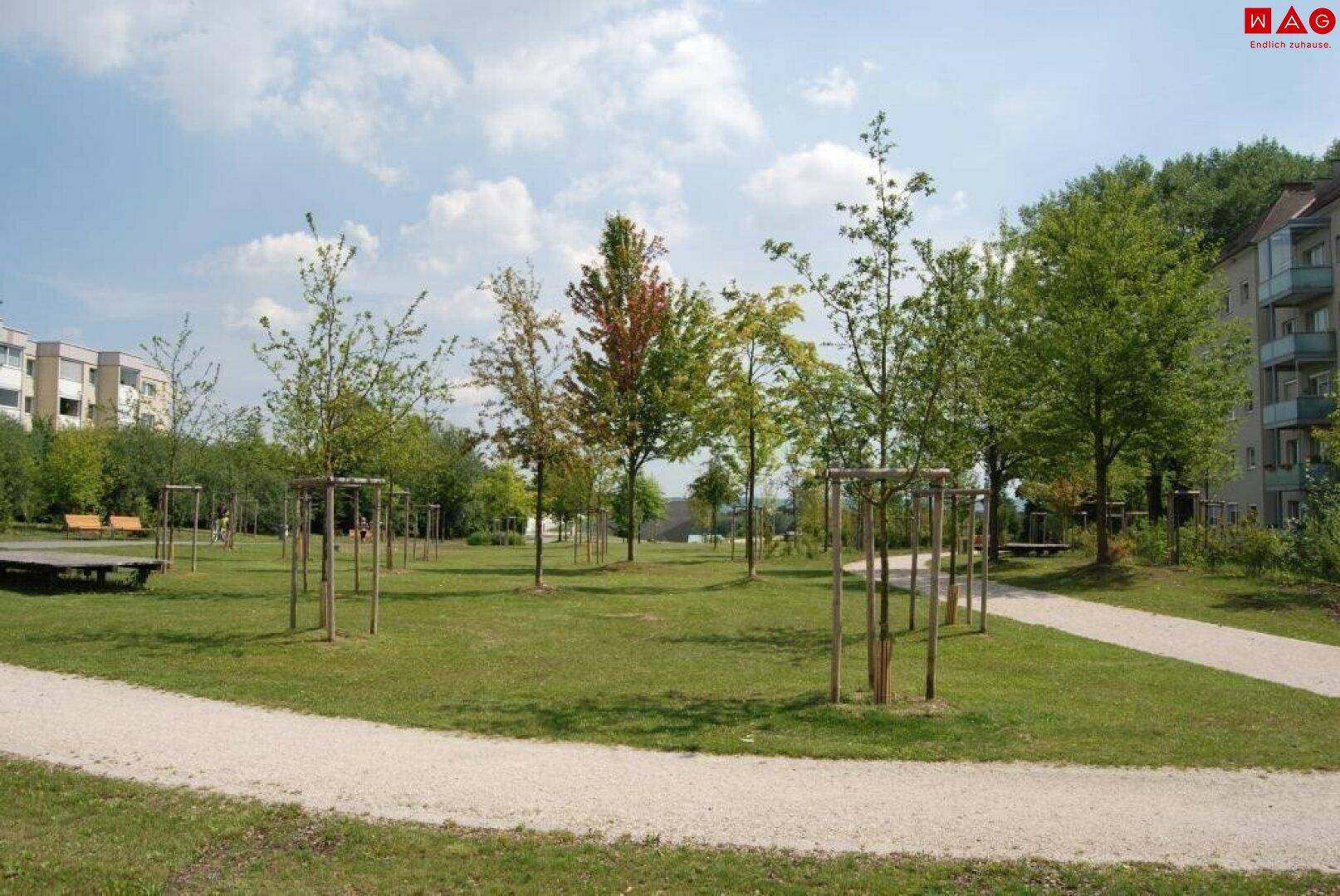 Park