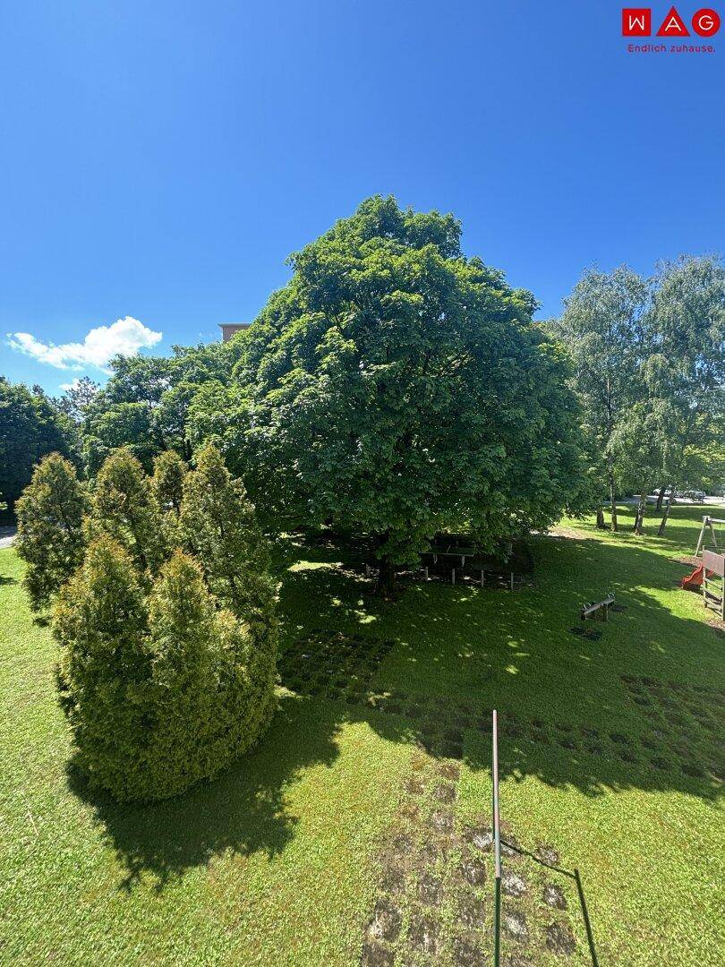 Aussicht vom Balkon
