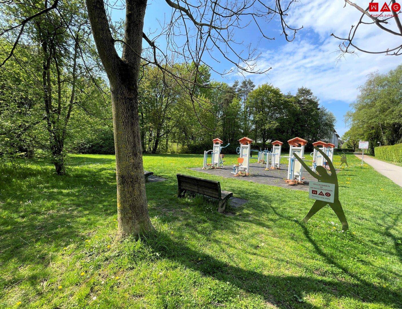 Outdoor-Fitnessbereich mit verschiedenen Trainingsgeräten und Sitzbank in einer grünen Parkanlage.