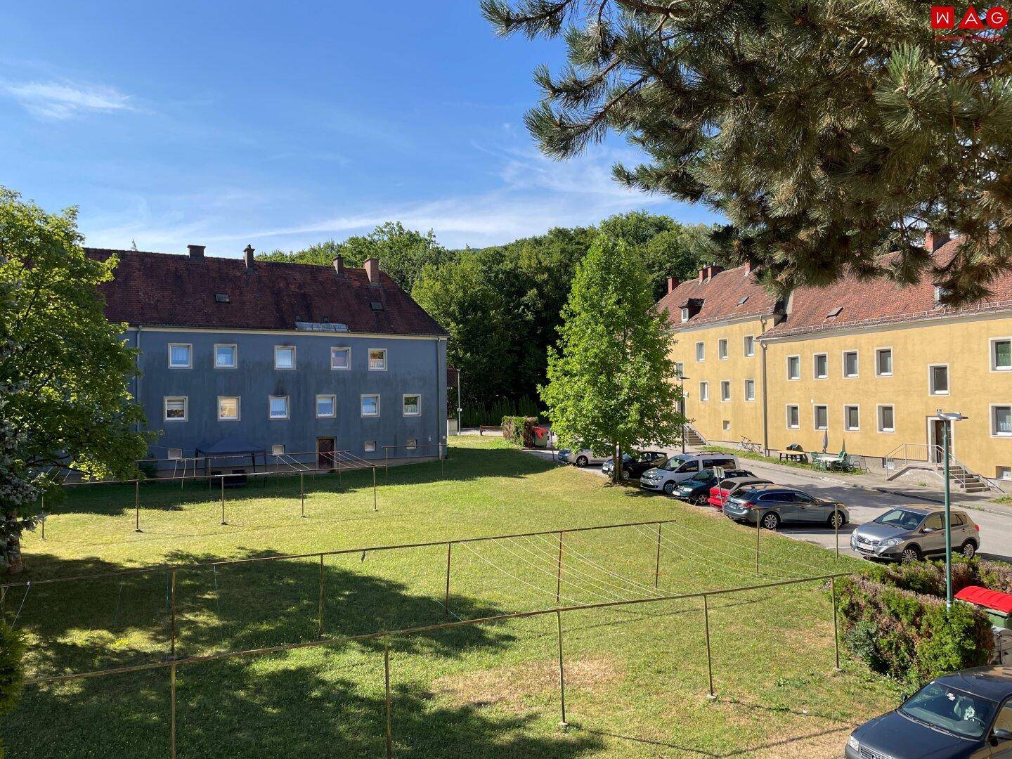 Weitläufige Grünfläche zwischen Mehrfamilienhäusern mit Wäscheleinen und geparkten Autos.
