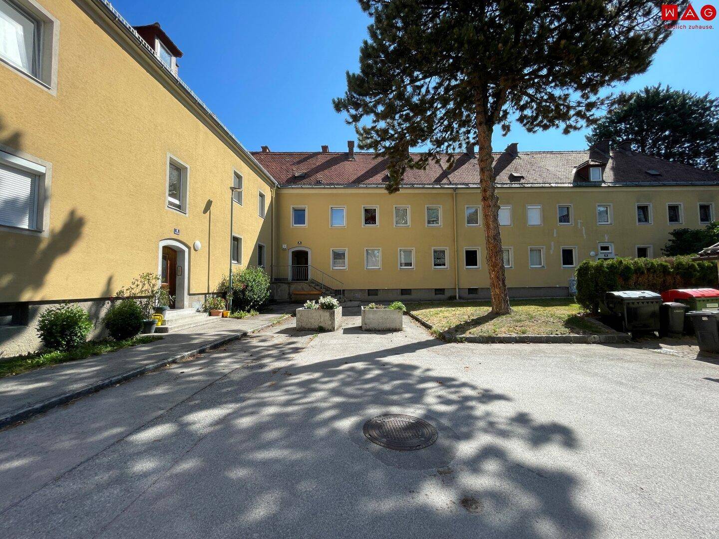 Innenhof der Wohnanlage mit gelben Gebäuden, großem Baum und gepflasterter Fläche.