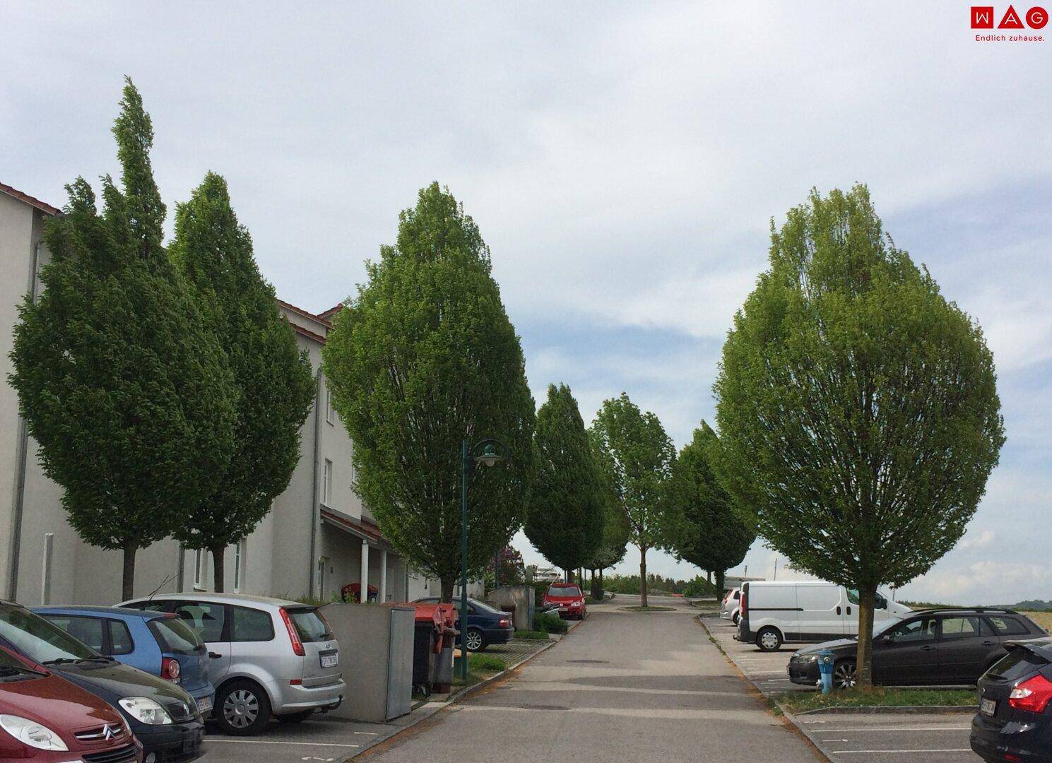 Parkplätze