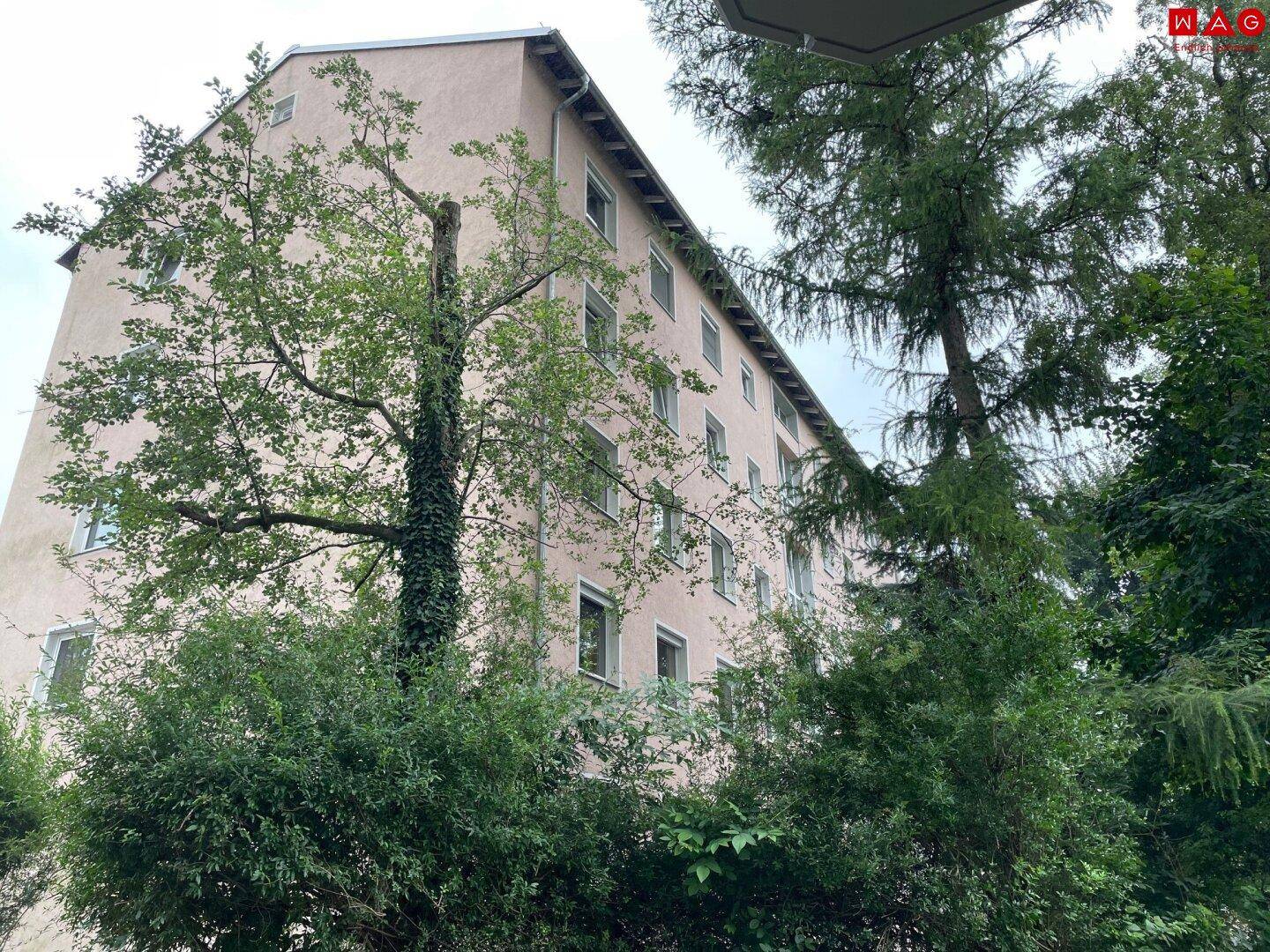 Seitenansicht eines Wohngebäudes, umgeben von dichtem Grün und hohen Bäumen unter bewölktem Himmel.
