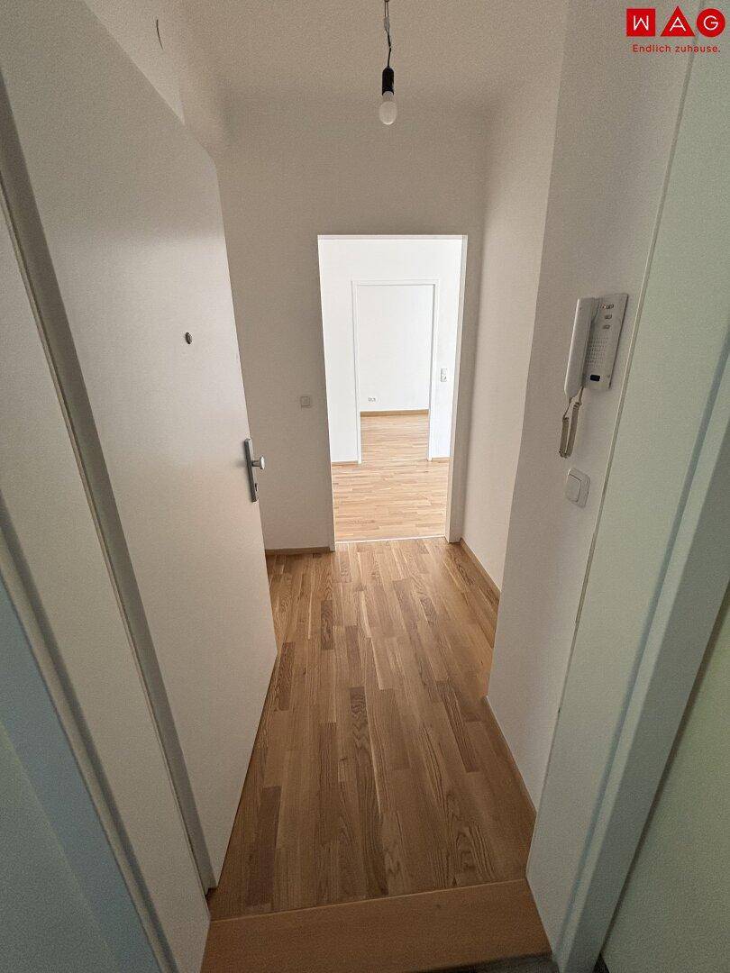 Vorzimmer mit Freisprechanlange, Blick in weitere Zimmer