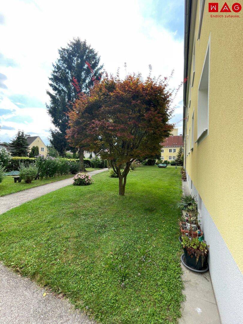 Aussenanlage