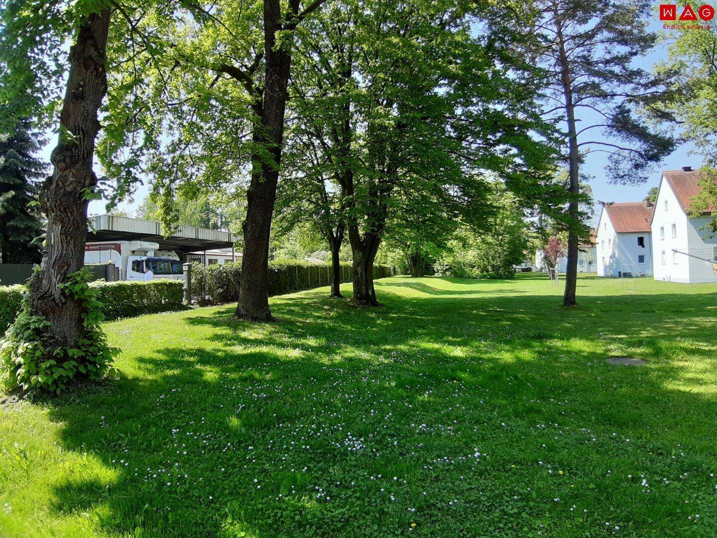 grüner Innenhof