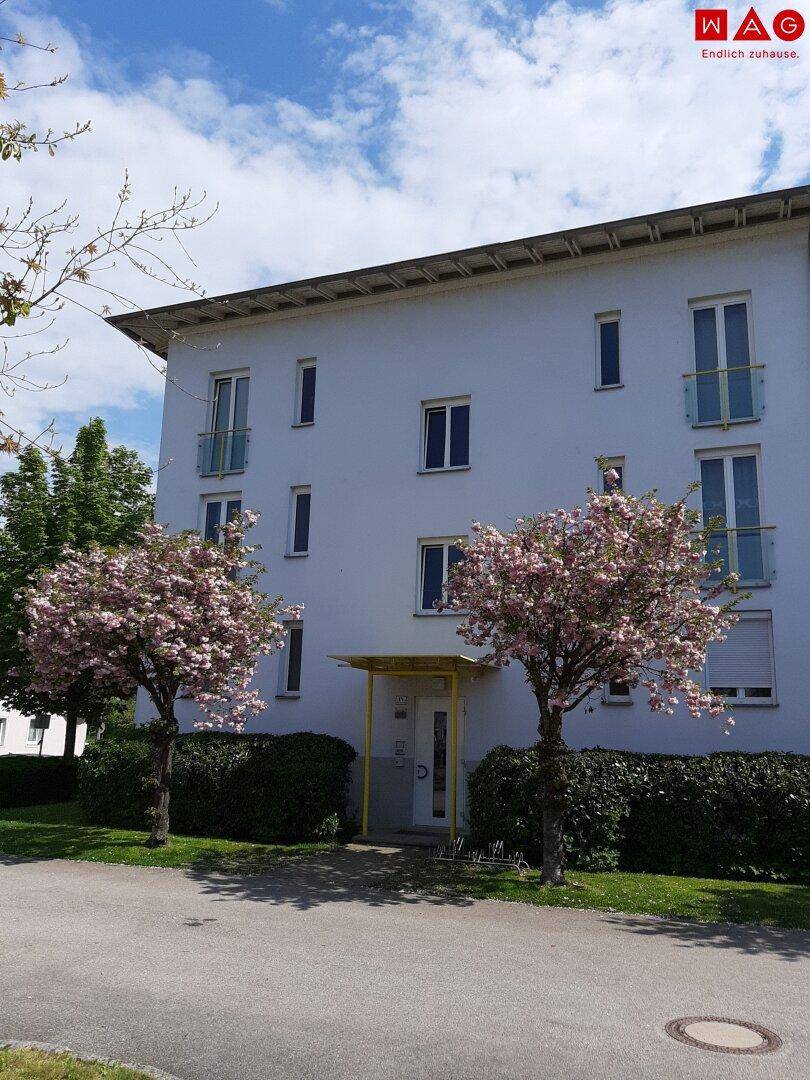 Hauszugang