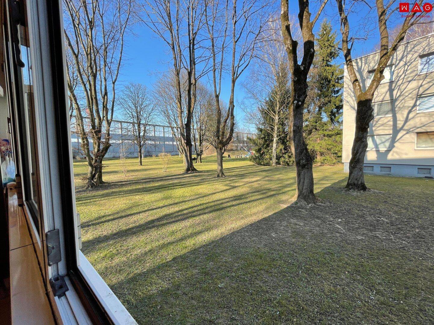 Grünblick / Innenhof