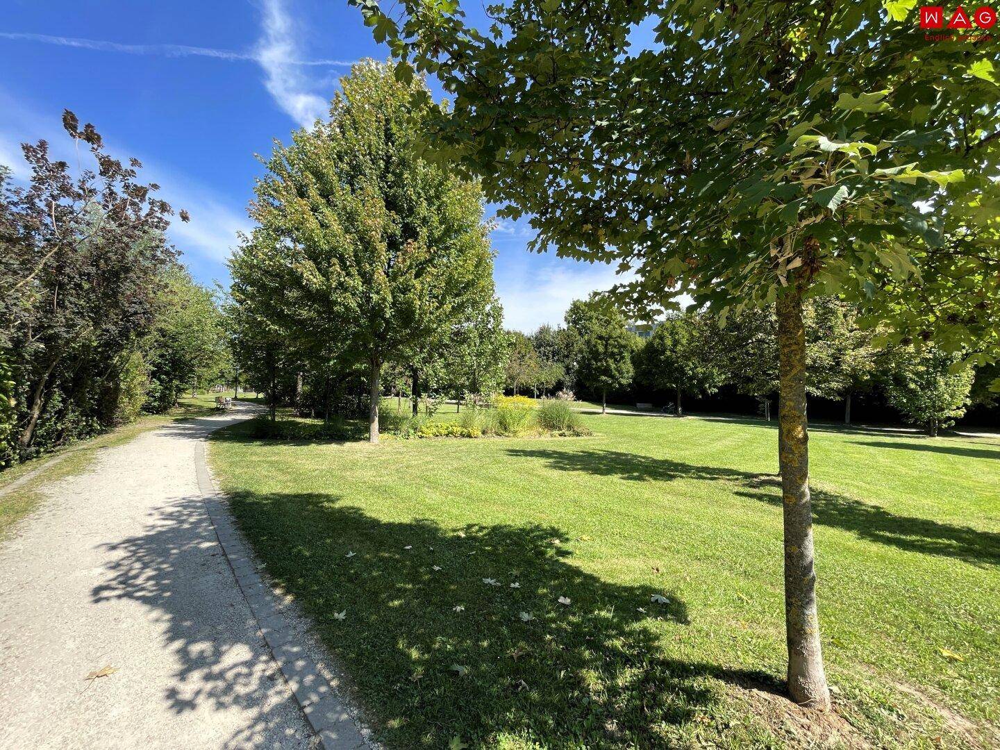 Bellevue Park