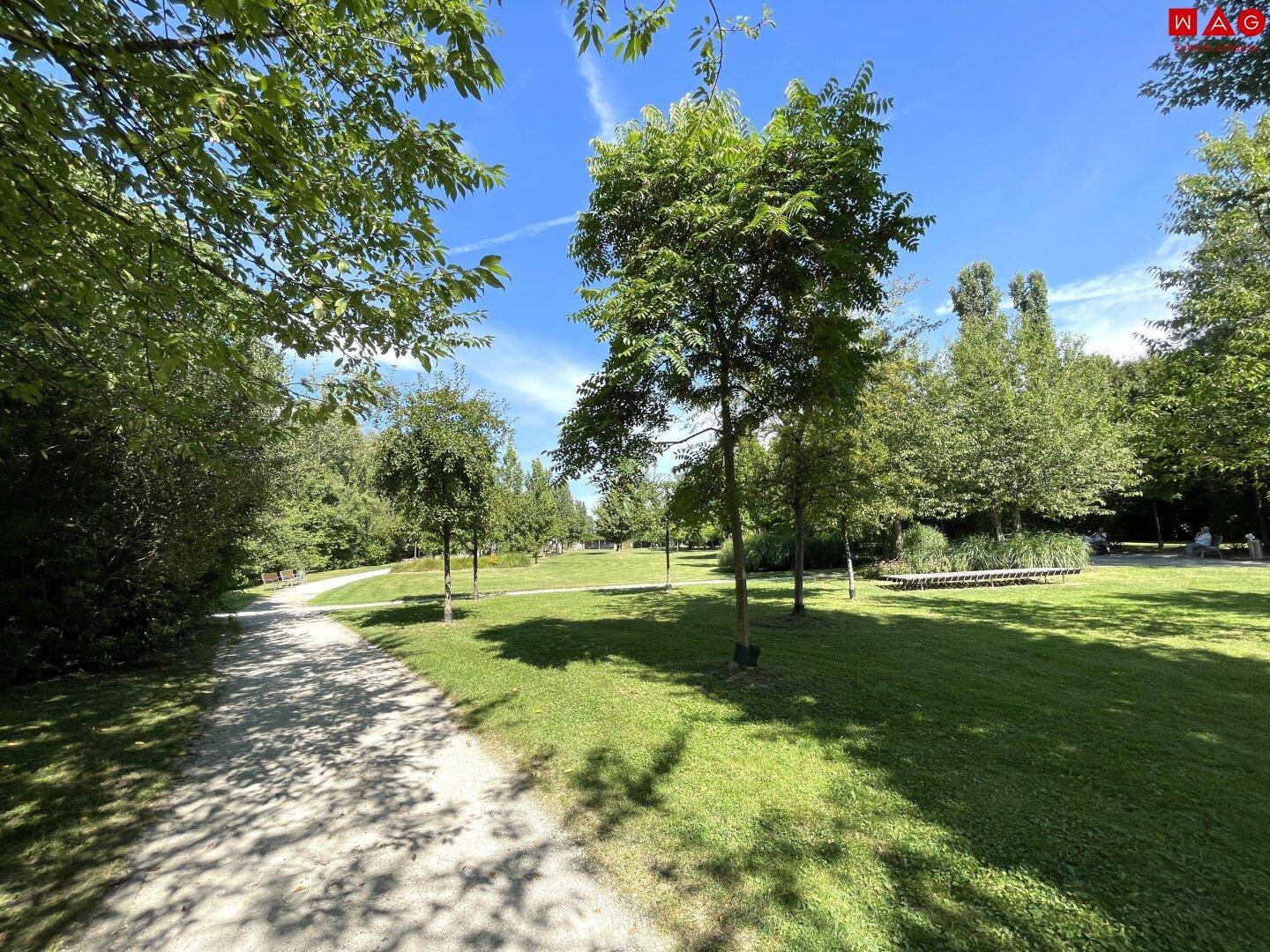 Bellevue Park