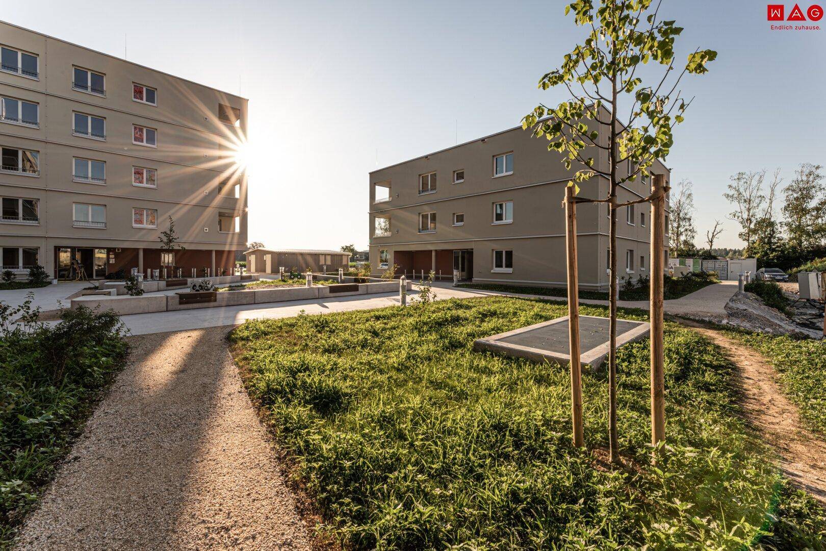 Neubauwohnungen umgeben von weitläufigen Grünflächen mit Wegen und jungen Bäumen im Sonnenlicht.