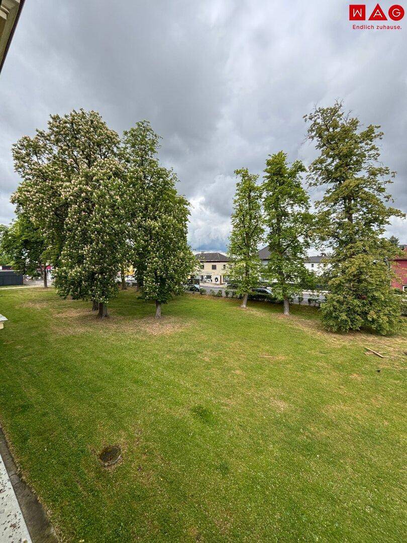 Weitläufige Grünfläche mit hohen Bäumen und Blick auf die umliegende Bebauung unter bewölktem Himmel.