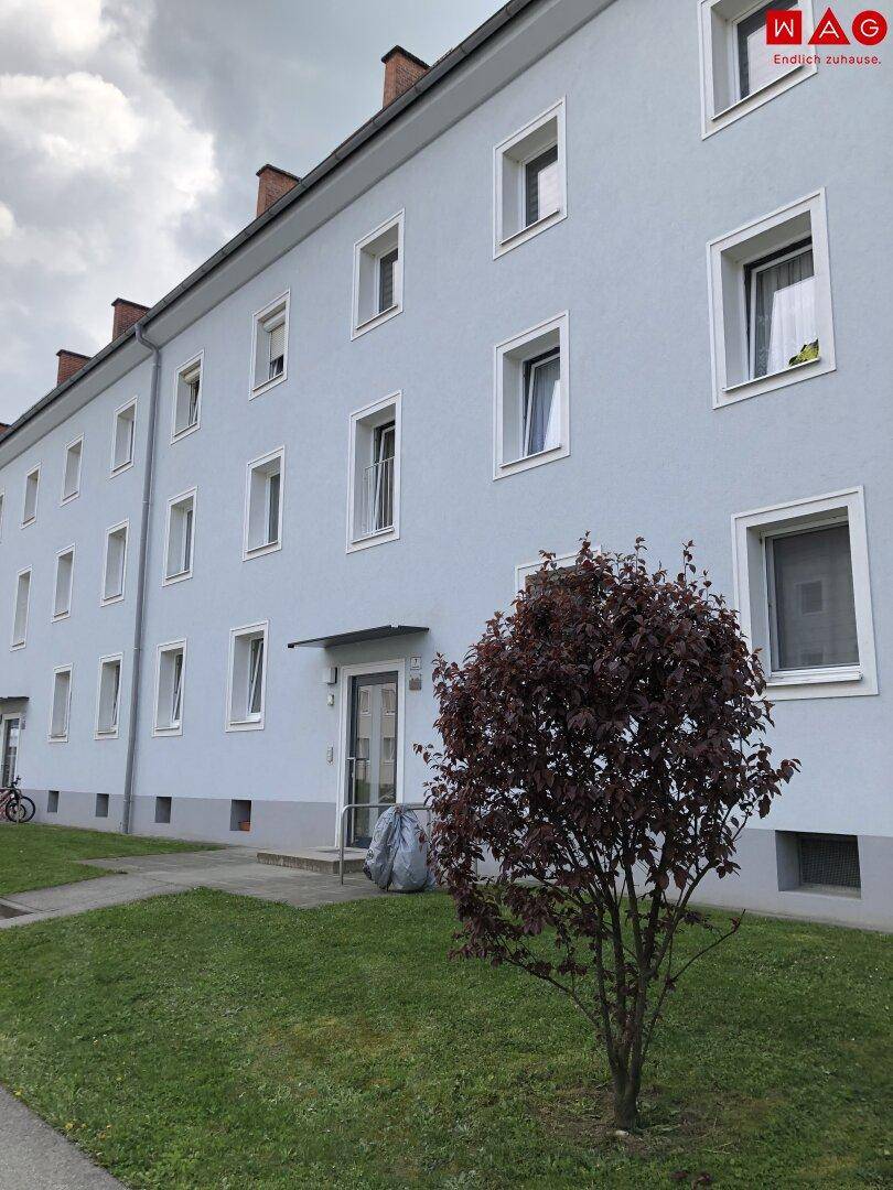 Außenansicht eines Mehrfamilienhauses mit hellblauer Fassade, vielen Fenstern und Grünfläche.