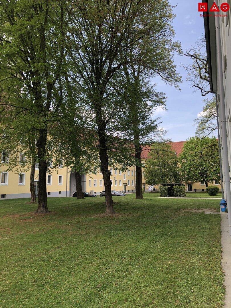 Großer grüner Gemeinschaftsgarten zwischen Wohngebäuden mit hohen, alten Bäumen.
