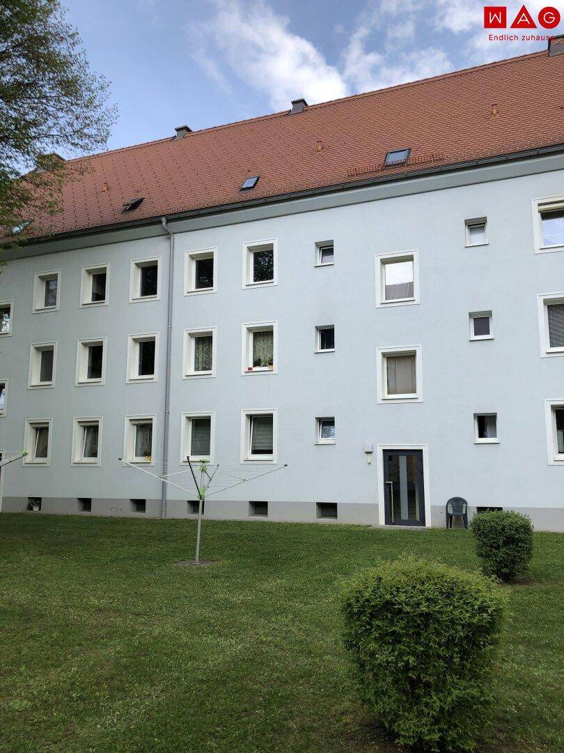 Rückseite eines Wohngebäudes mit hellblauer Fassade, rotem Satteldach und Grünfläche.