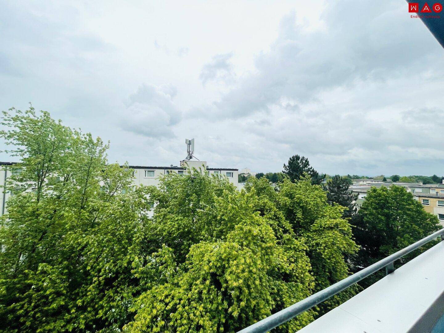 Weitläufiger Blick vom Balkon auf grüne Bäume und die Dächer der Nachbargebäude.