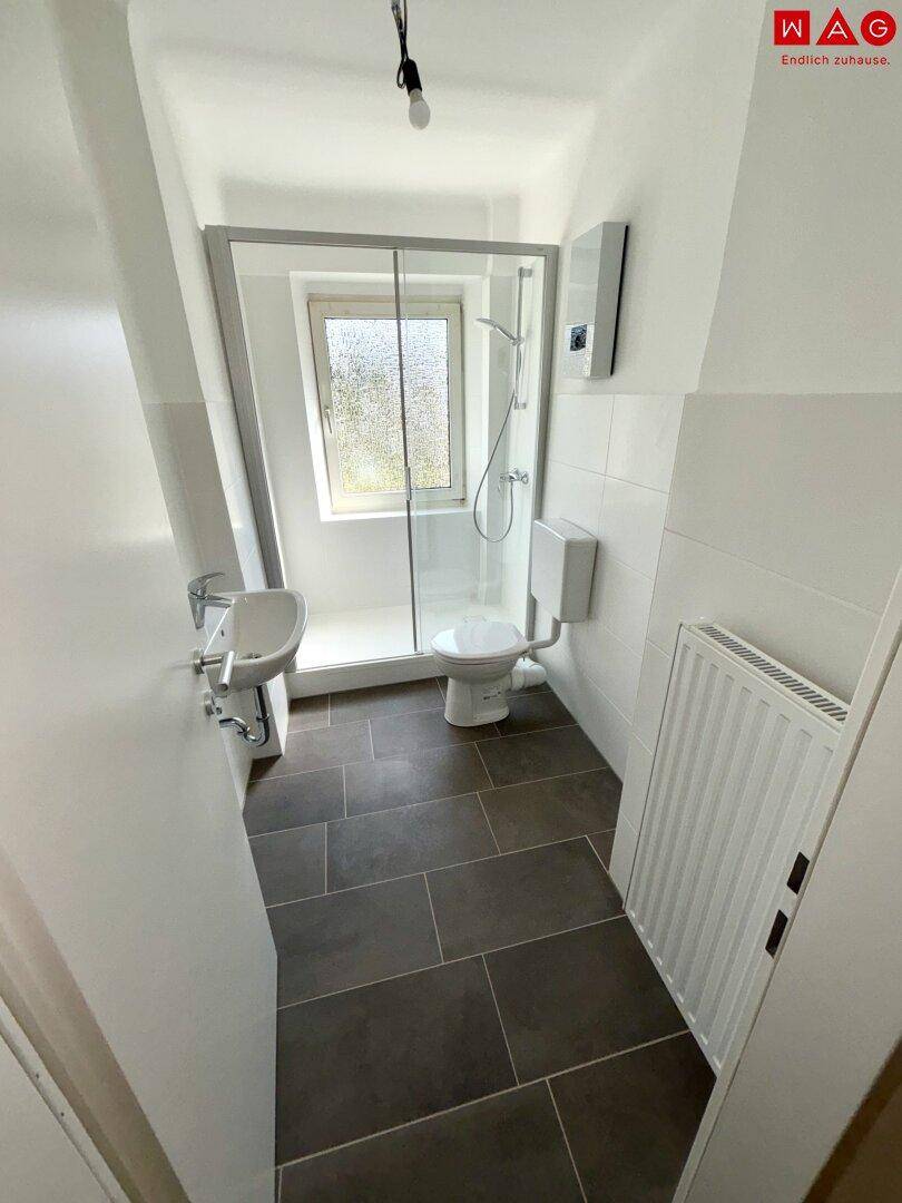Helles Badezimmer mit Dusche, WC und Waschbecken, ausgestattet mit dunklen Fliesen und Fenster.