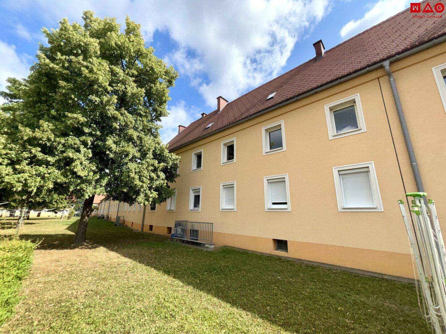 Seitenansicht des Gebäudes mit einer gepflegten Rasenfläche und einem großen Baum.