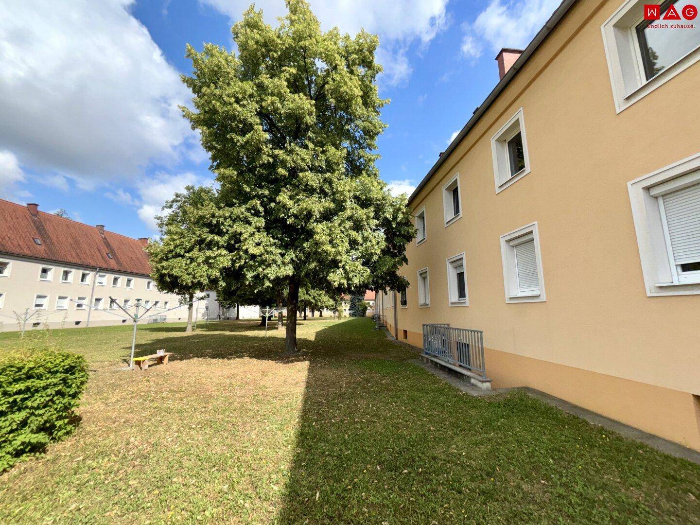 Weitläufige Grünfläche mit großen Bäumen neben dem Wohngebäude unter blauem Himmel.