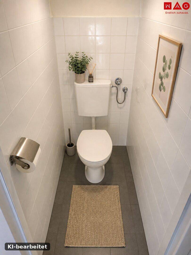Modernisierte separate Toilette mit Teppich und dekorativem Bild.