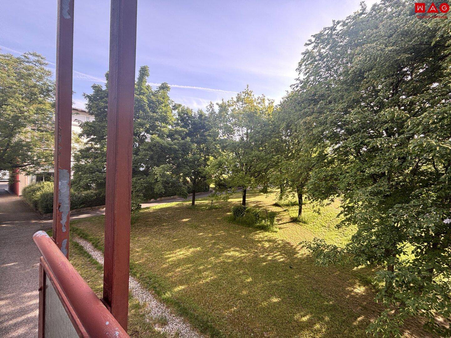 Blick von einem Balkon auf eine grüne Parkanlage mit hohen Bäumen und gepflegtem Rasen.
