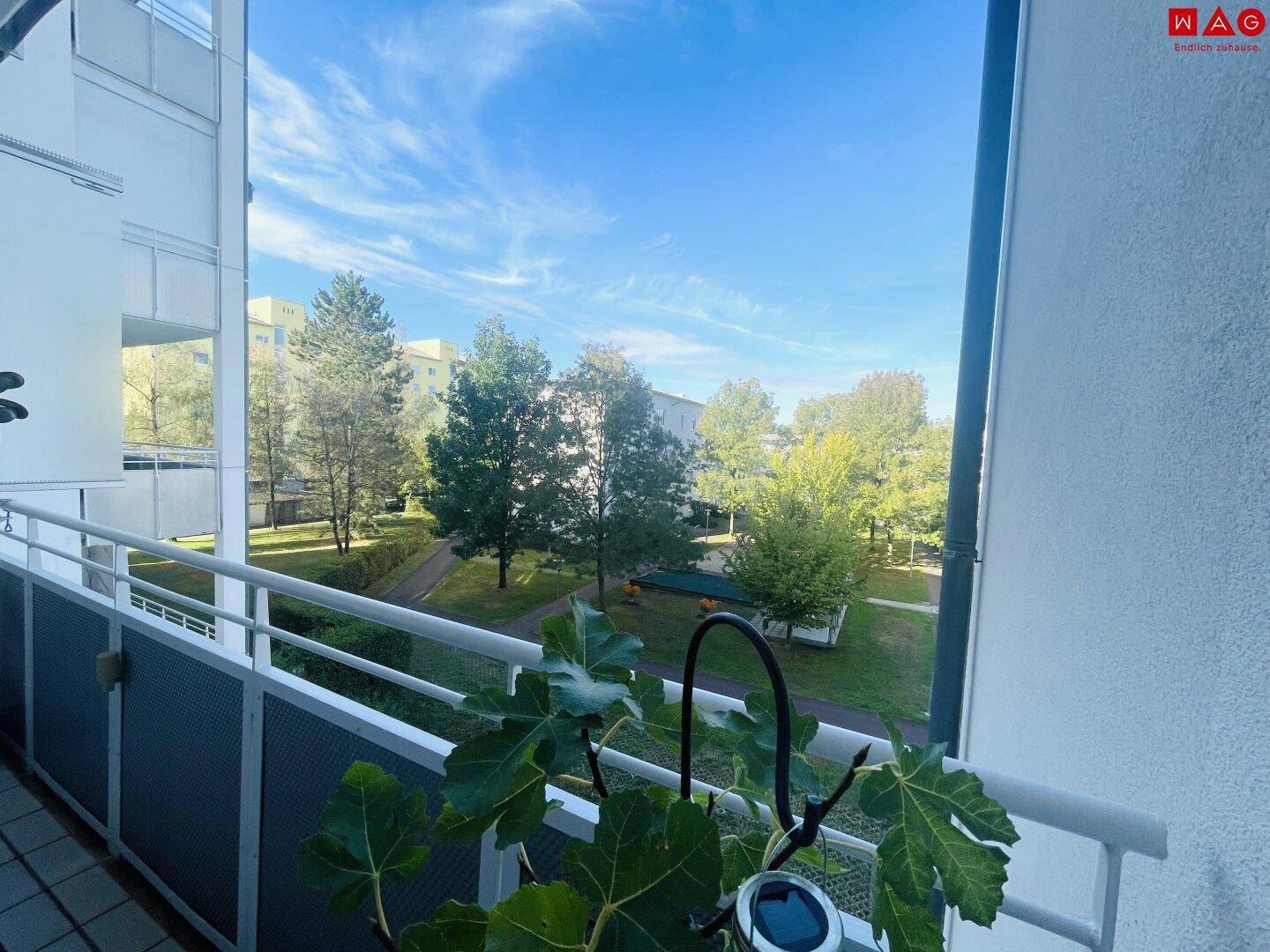 Weitläufiger Blick vom Balkon auf eine grüne Parkanlage mit Bäumen und umliegenden Gebäuden.