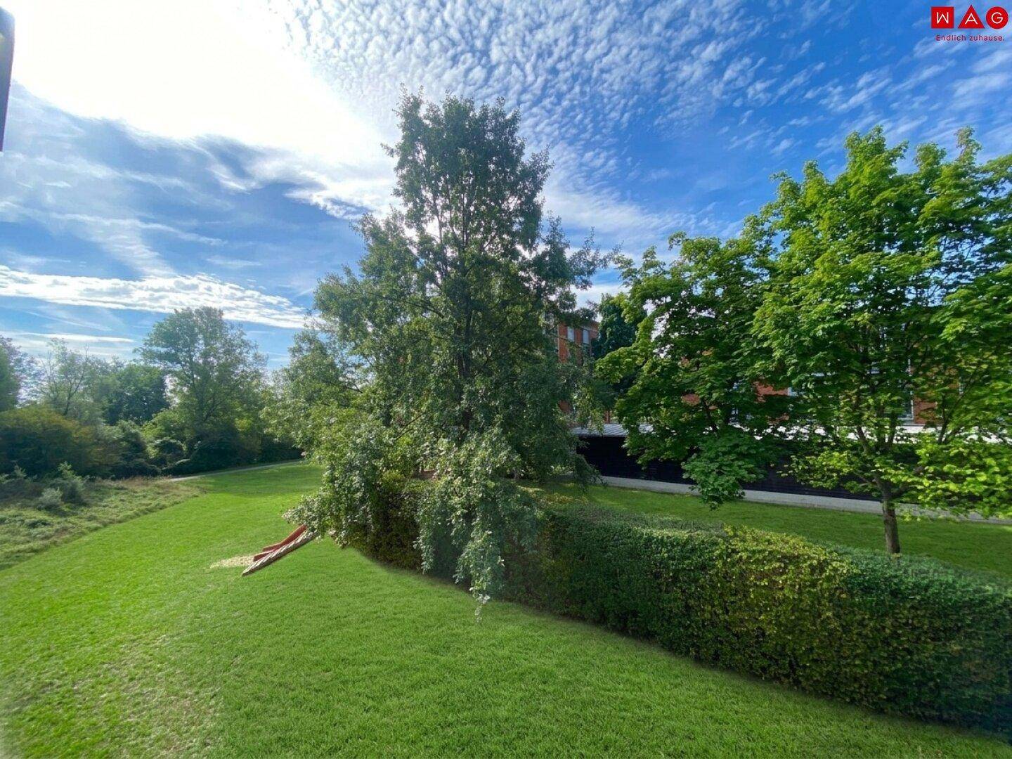 Ausblick Balkon