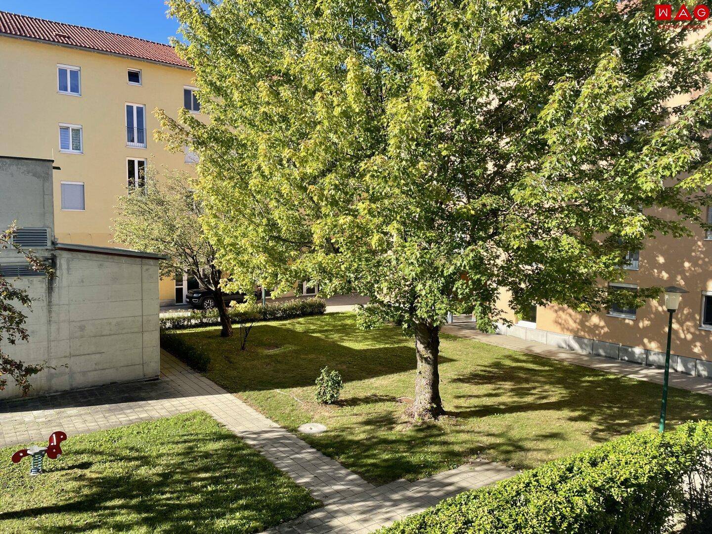 Gepflegter Gemeinschaftsgarten mit Rasenflächen, Bäumen und Gehwegen.