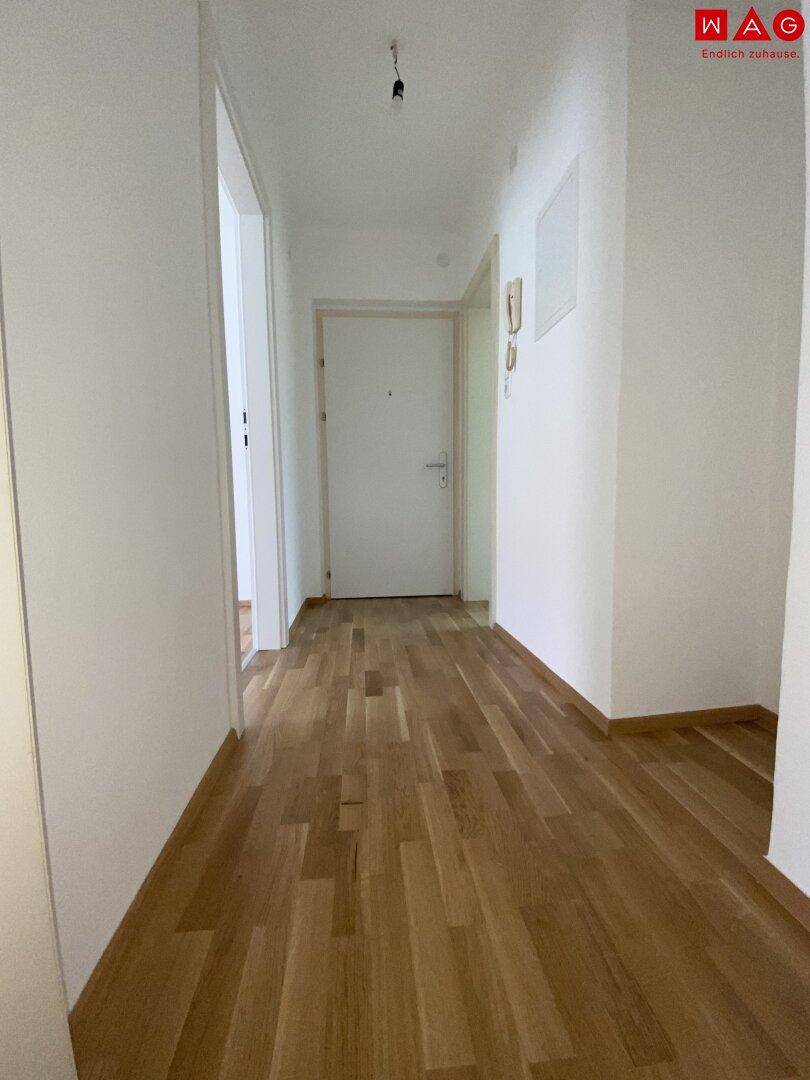 Heller Eingangsbereich mit Holzparkett und weiß gestrichenen Wänden.
