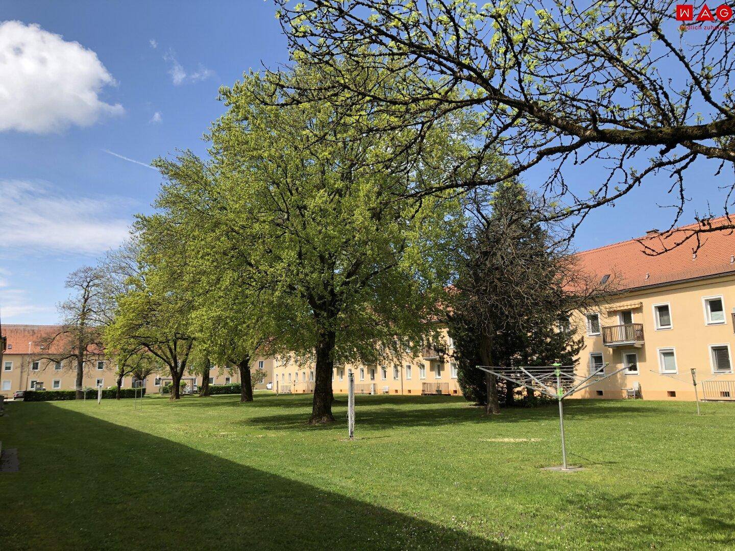Weitläufige Grünfläche mit Bäumen und Wäscheständer, umgeben von Wohngebäuden.