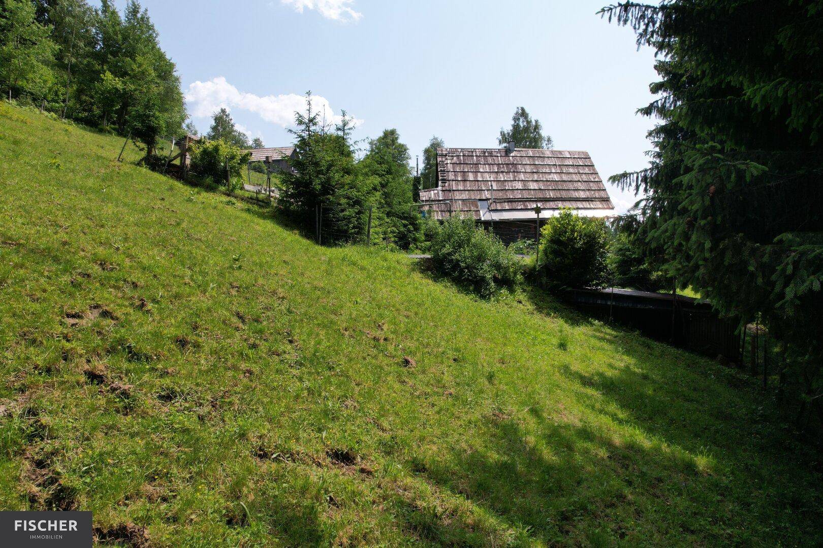 Grüne Hanglage mit einem traditionellen Holzhaus, umgeben von Bäumen unter blauem Himmel.