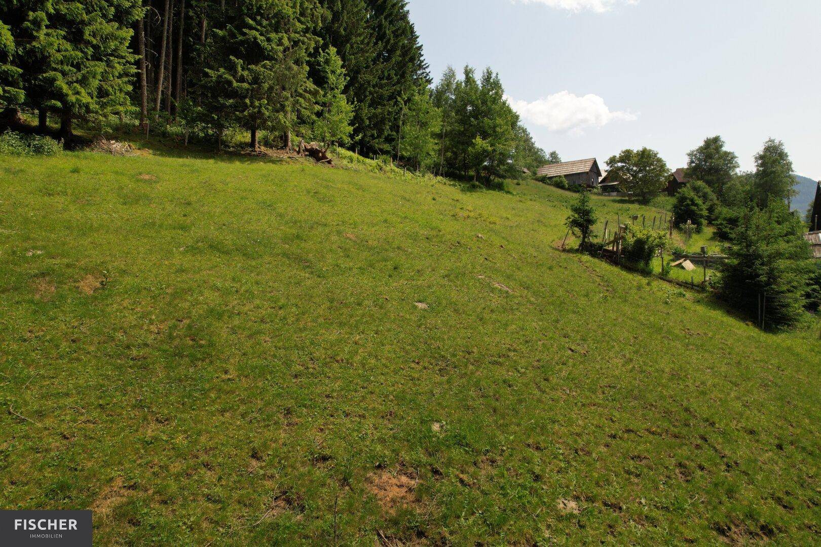 Weitläufige grüne Wiesenfläche auf einem Hang, umgeben von dichtem Wald und mit weiteren Häusern in der Ferne.