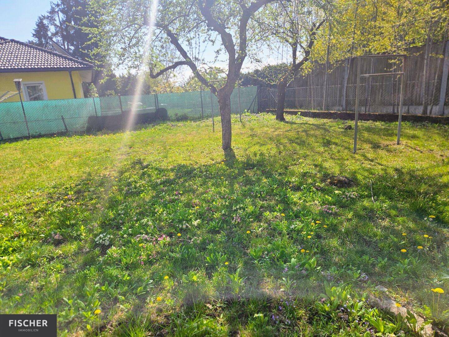 Sonniger Gartenbereich mit Wiese und Bäumen, ideal für Erholung im Freien.