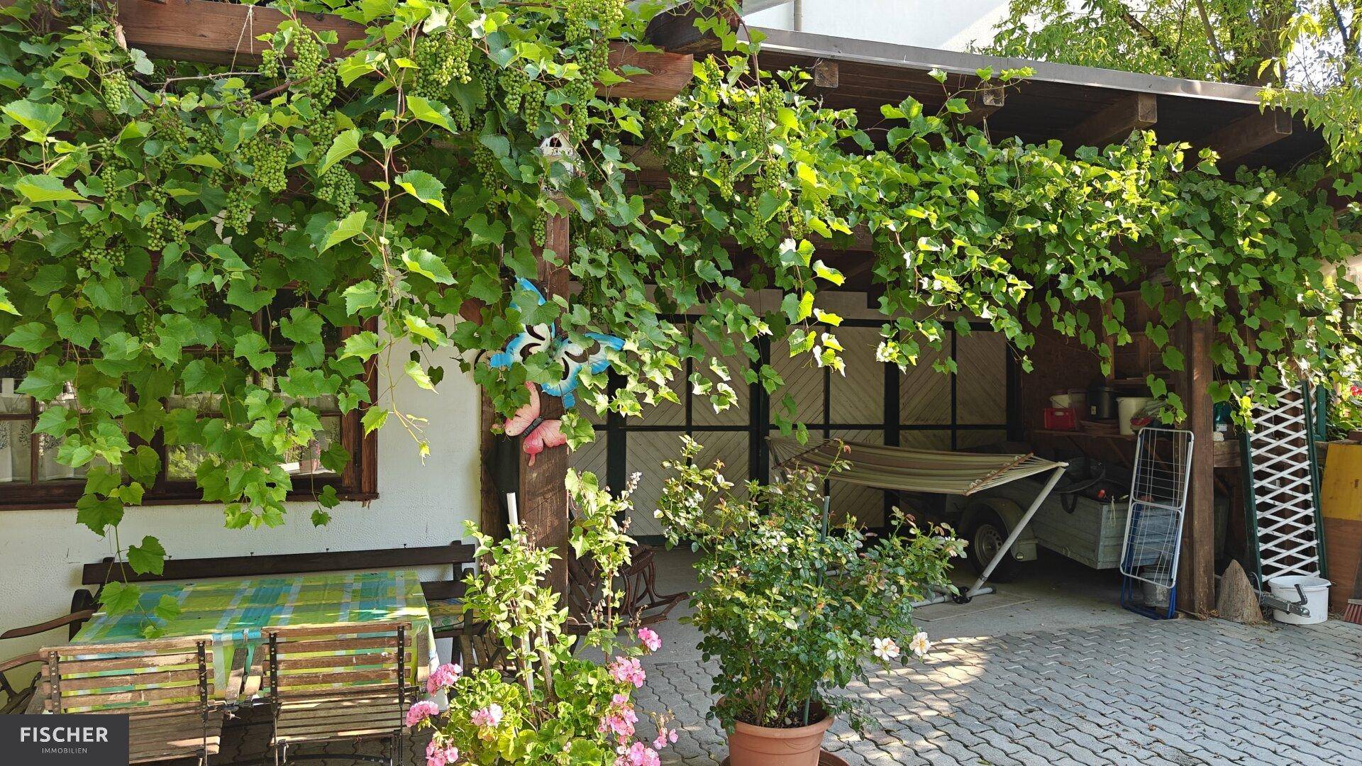Überdachter Terrassenbereich mit Rankpflanzen, Holzbänken und einem kleinen Tisch.