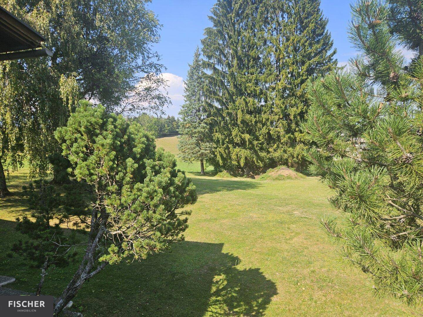 Weitläufiger Blick ins Grüne mit hohen Bäumen und offener Landschaft unter blauem Himmel.