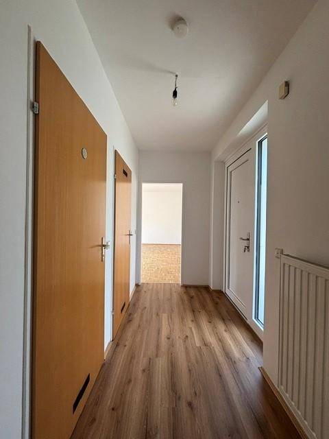 Eingangsbereich mit Laminatboden, weiß gestrichenen Wänden und einer modernen Eingangstür.