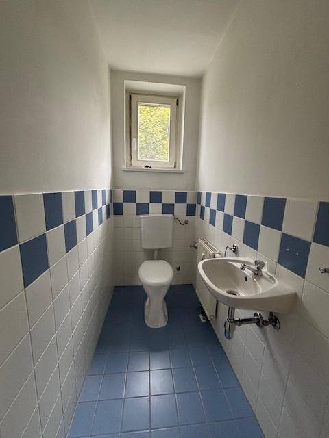 Kleines Gäste-WC mit blauen und weißen Fliesen, ausgestattet mit Toilette und Waschbecken.