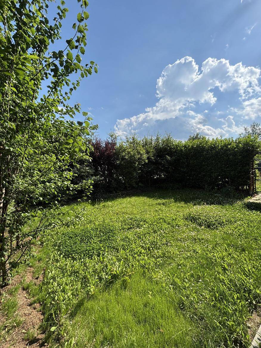 Weitläufige Rasenfläche in einem gepflegten Garten, umgeben von Bäumen und Hecken.