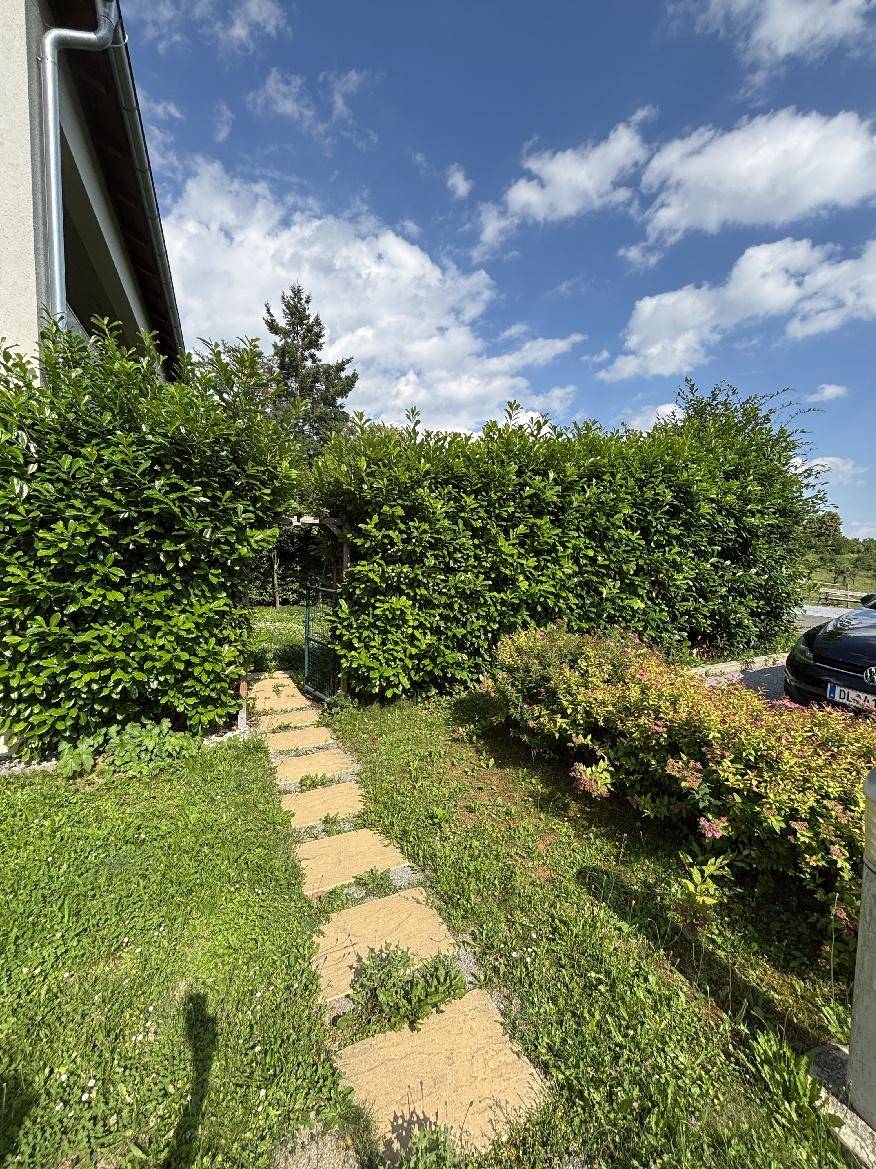 Gartenweg mit Trittsteinen, umgeben von dichten Hecken und üppigem Grün.