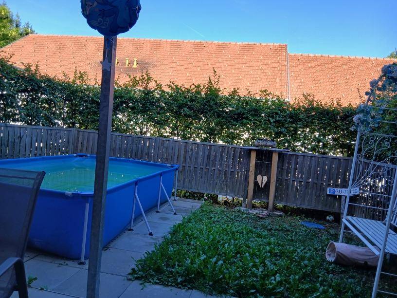 Hinterhof mit einem aufgestellten Pool, umgeben von einem Holzzaun und Hecken.