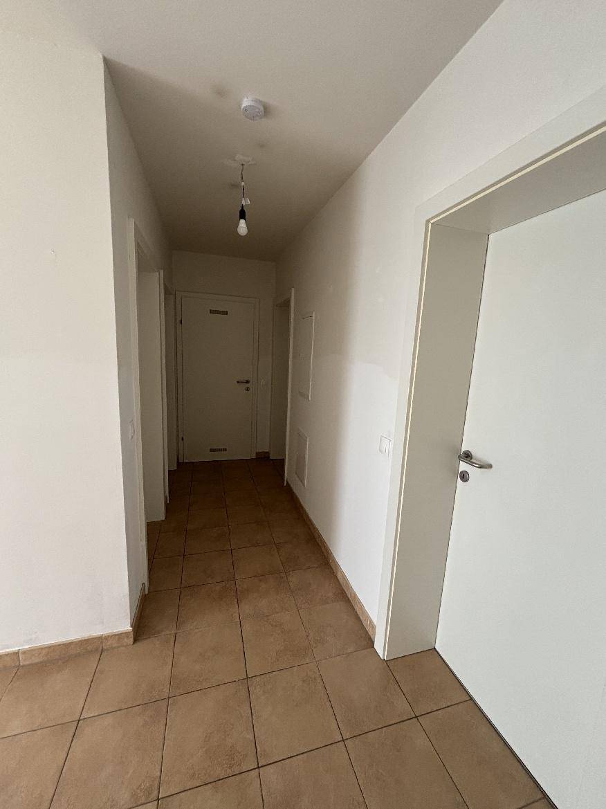 Nestelbach bei Graz - geförderte Miete ODER geförderte Miete mit Kaufoption - 3 Zimmer - Ansicht 5