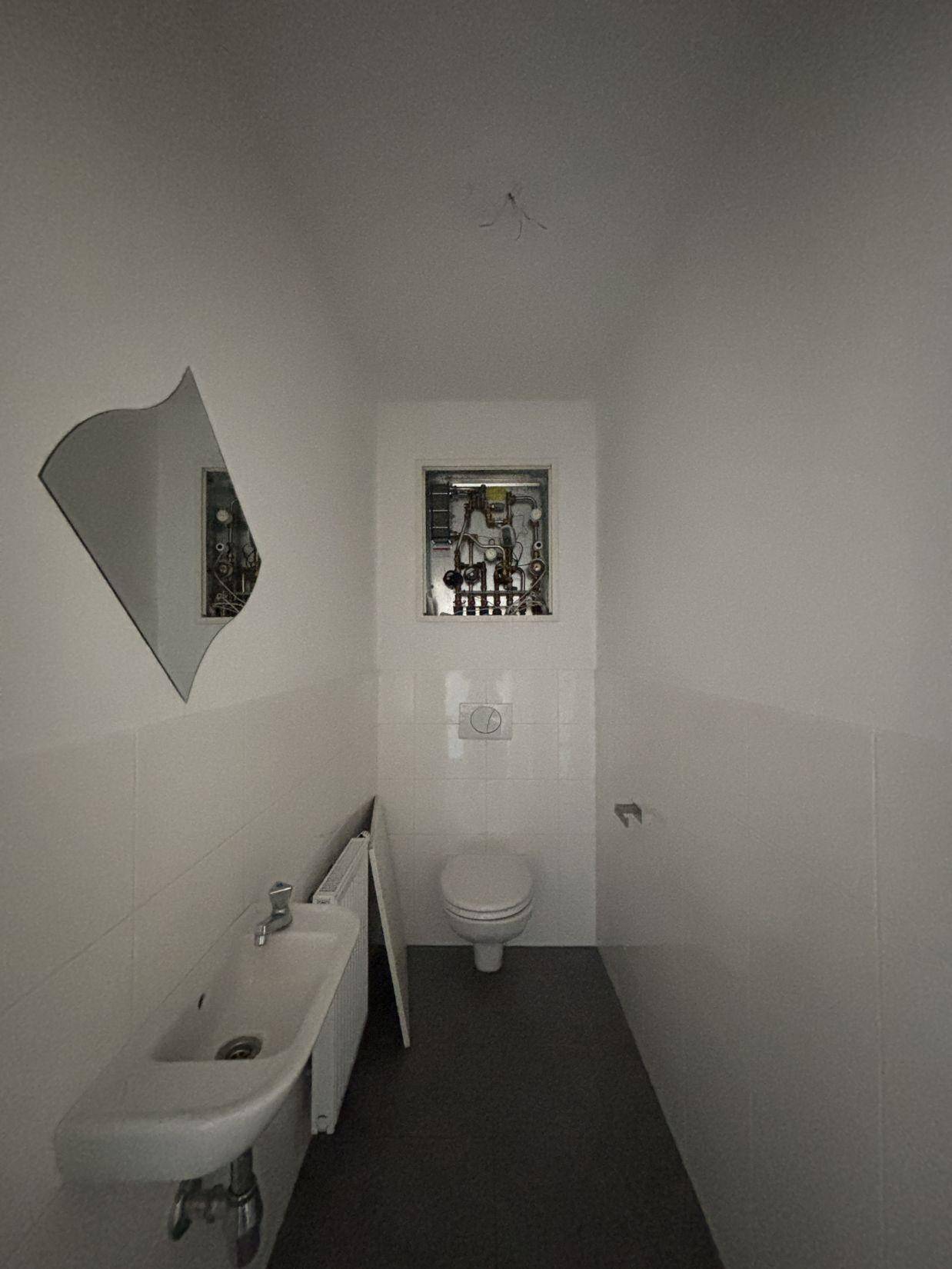 Kleines Gäste-WC mit wandhängender Toilette, Waschbecken und einem dekorativen Spiegel.