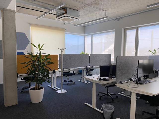Helles Büro mit mehreren Arbeitsplätzen, großen Fenstern, Pflanzen und schallabsorbierenden Trennwänden.