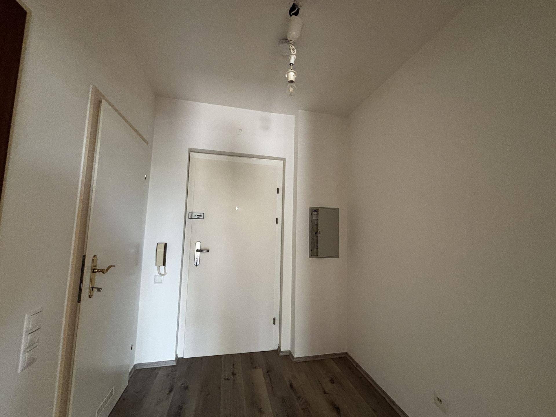 Eingangsbereich mit heller Tür, Gegensprechanlage und einem Sicherungskasten an der Wand.